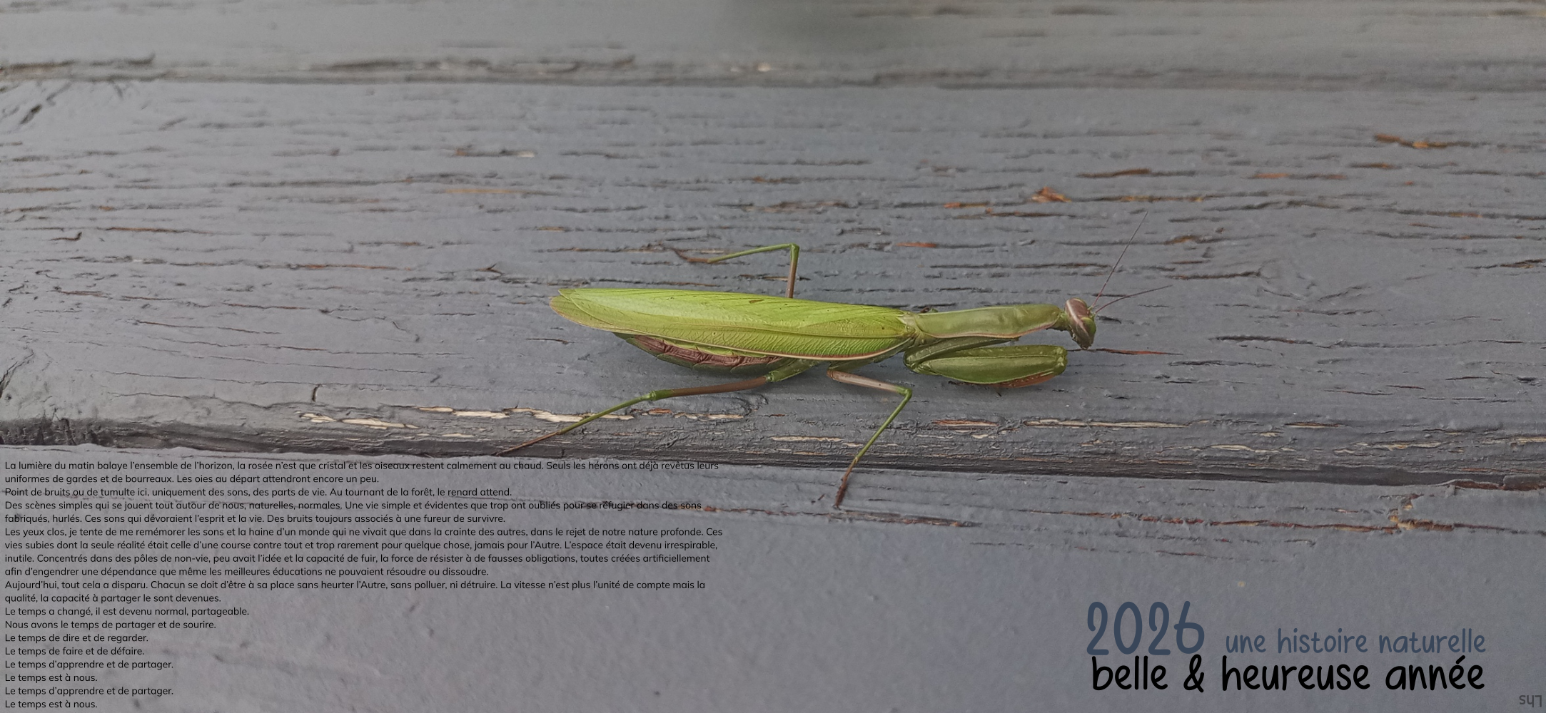 La lumière du matin balaye l’ensemble de l’horizon, la rosée n’est que cristal et les oiseaux restent calmement au chaud. Seuls les hérons ont déjà revêtu leurs uniformes de gardes et de bourreaux. Les oies au départ attendront encore un peu. Point de bruits ou de tumulte ici, uniquement des sons, des parts de vie. Au tournant de la forêt, le renard attend. Des scènes simples qui se jouent tout autour de nous, naturelles, normales. Une vie simple et évidente que trop ont oubliés pour se réfugier dans des sons fabriqués, hurlés. Ces sons qui dévoraient l’esprit et la vie. Des bruits toujours associés à une fureur de survivre. Les yeux clos, je tente de me remémorer les sons et la haine d’un monde qui ne vivait que dans la crainte des autres, dans le rejet de notre nature profonde. Ces vies subies dont la seule réalité était celle d’une course contre tout et trop rarement pour quelque chose, jamais pour l’Autre. L’espace était devenu irrespirable, inutile. Concentrés dans des pôles de non-vie, peu avait l’idée et la capacité de fuir, la force de résister à de fausses obligations, toutes créées artificiellement afin d’engendrer une dépendance que même les meilleures éducations ne pouvaient résoudre ou dissoudre. Aujourd’hui, tout cela a disparu. Chacun se doit d’être à sa place sans heurter l’Autre, sans polluer, ni détruire. La vitesse n’est plus l’unité de compte mais la qualité, la capacité à partager le sont devenues. Le temps a changé, il est devenu normal, partageable. Nous avons le temps de partager et de sourire. Le temps de dire et de regarder. Le temps de faire et de défaire. Le temps d’apprendre et de partager. Le temps est à nous.. Illustration par Lhs : Bonne et heureuse ann&eacute;e 2026